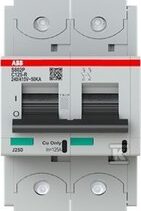 WYŁĄCZNIK NADMIAROWO-PRĄDO.S802P-C125
